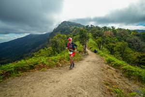 BIB: 5071
                            <button type="button" onclick="openModal(16022138)" class="btn btn-primary btn-sm float-right btn-popup" data-toggle="modal" data-target=".modal-high-quality">
                        <i class="fas fa-shopping-cart"></i> Add to Cart
                    </button>
                                            <button type="button" onclick="isThisMe(16022138, true)" class="btn btn-success btn-sm float-right btn-popup btn-isme hidden" data-toggle="tooltip" data-placement="bottom" title="นี่คือรูปของคุณใช่ไหม คลิกที่นี่เพื่อเอาเข้าอัลบั้ม">
                        <i class="fas fa-plus"></i> Add to album
                    </button>
                    <button type="button" onclick="isThisMe(16022138, false)" class="btn btn-warning btn-sm float-right btn-popup btn-isnotme hidden">
                        <i class="fas fa-ban"></i> Remove from album
                    </button>